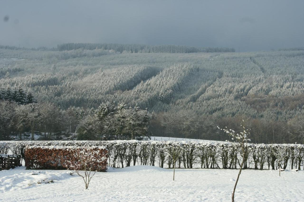 The View Hotel Francorchamps Kültér fotó